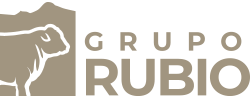 Grupo Rubio